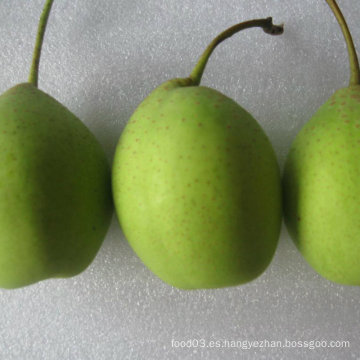 Buena Calidad de Fresh Green Ya Pear